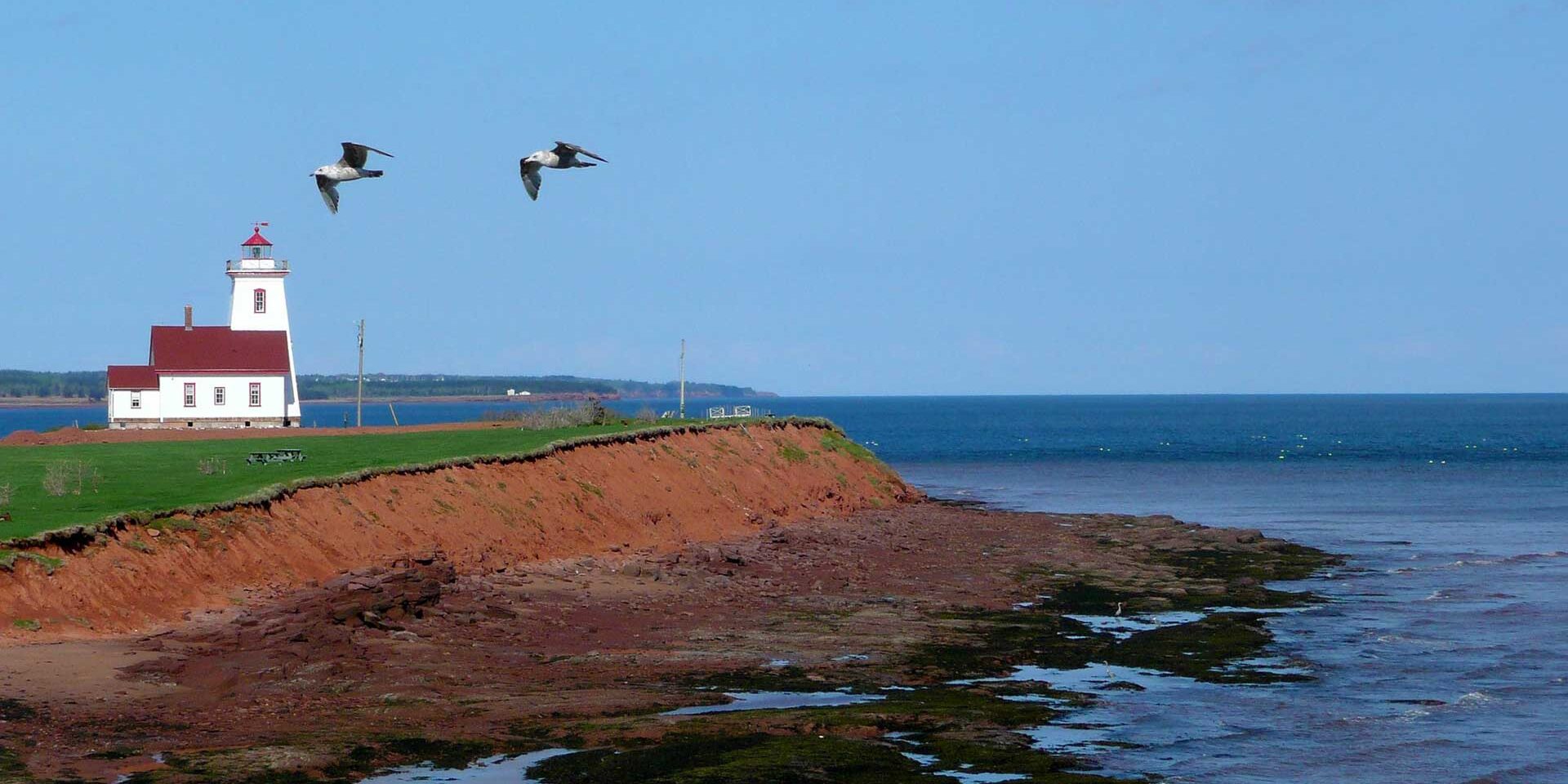 Breast Cancer Screening in Prince Edward Island